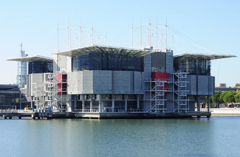 Lisbon Oceanarium