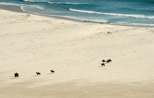 Horses on the Beach
