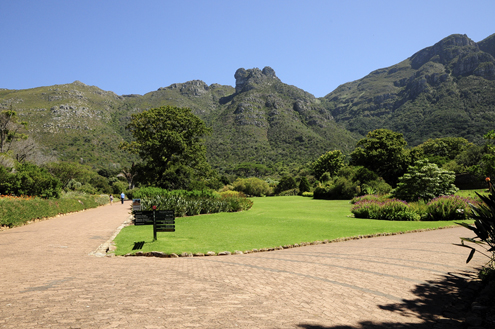 Kirstenbosch Garden