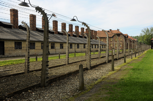 Double Electrified Fence