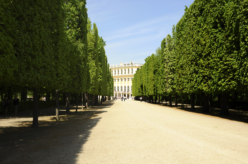 Palace Gardens