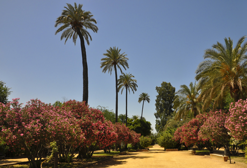 Gardens of Catalina de Ribera